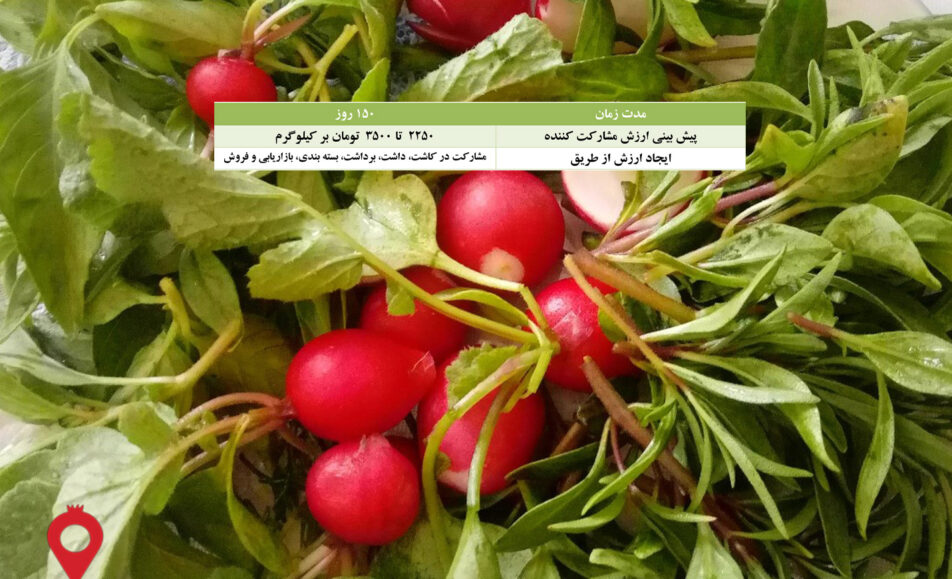 باغ بازار مشارکتی سبزی کرمان