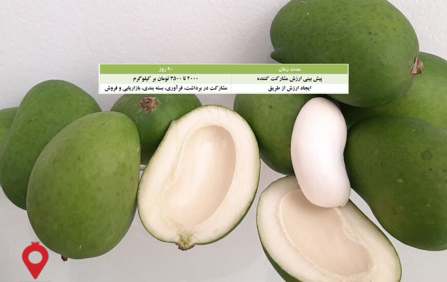 انبه ترشی مشارکتی