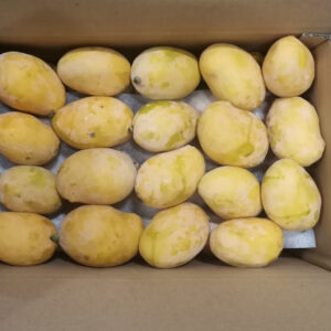 باغ بازار انبه سیستان و بلوچستان - مشارکتی