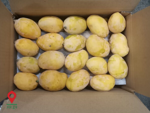 باغ بازار انبه سیستان و بلوچستان - مشارکتی