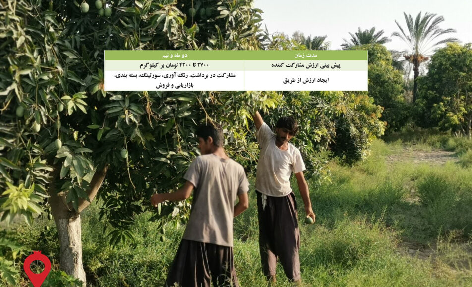 باغ بازار انبه سیستان و بلوچستان - مشارکتی