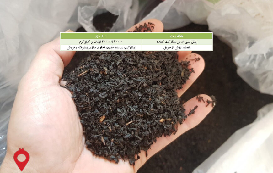 باغ بازار چای ممتاز بهاره - مشارکتی