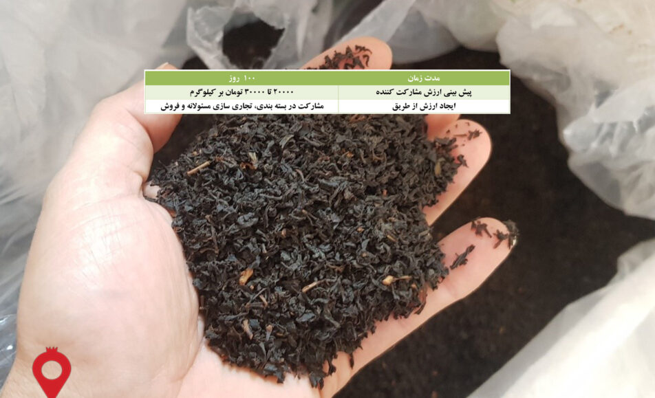 باغ بازار چای ممتاز بهاره - مشارکتی