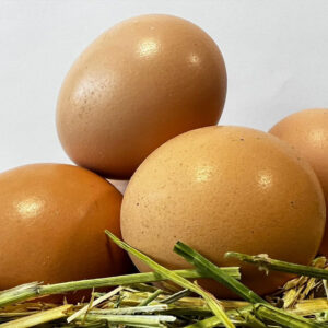 باغ بازار مشارکتی مرغ و تخم مرغ