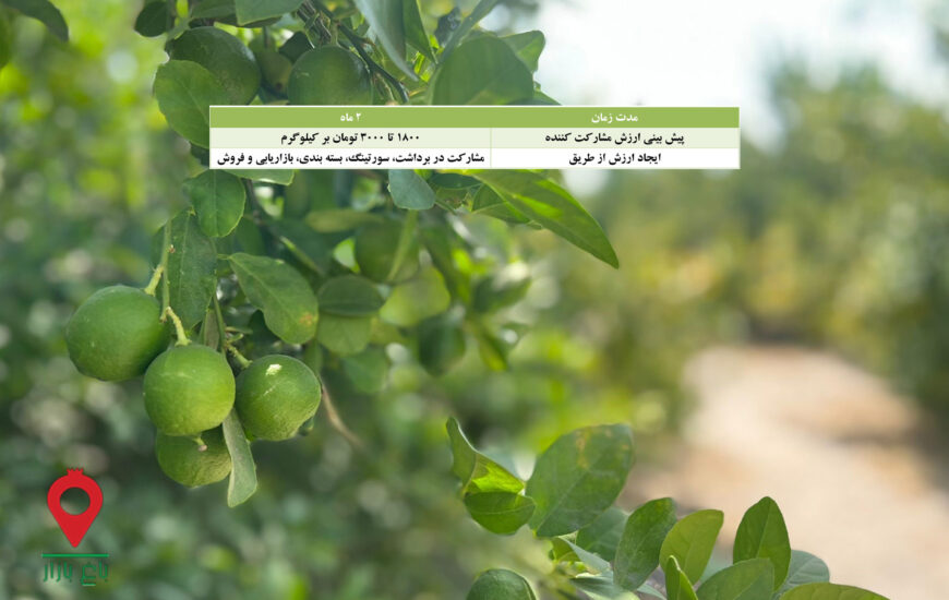 لیمو ترش منوجان - مشارکتی