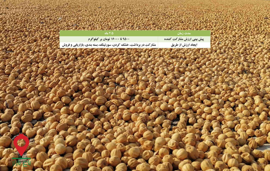 باغ بازار مشارکتی لیمو خشک یا عمانی منوجان