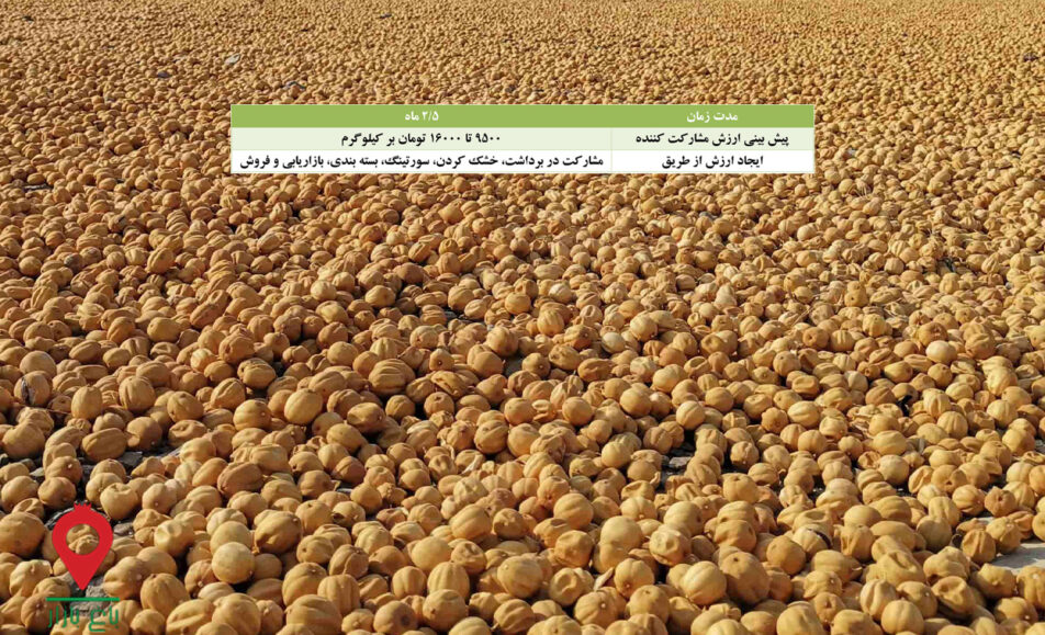 باغ بازار مشارکتی لیمو خشک یا عمانی منوجان