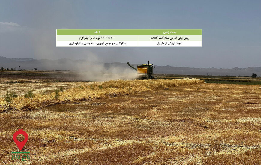 باغ بازار کاه گندم جنوب - مشارکتی