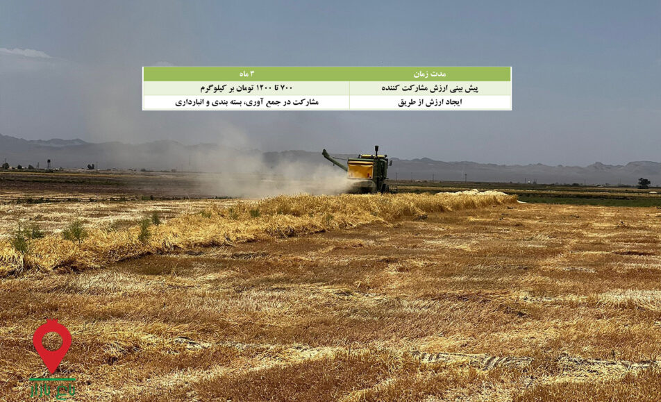 باغ بازار کاه گندم جنوب - مشارکتی