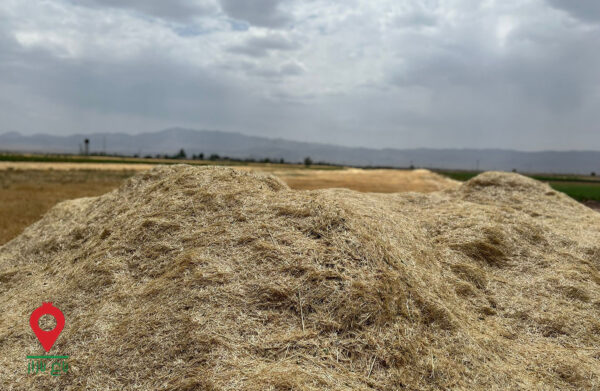 باغ بازار کاه گندم جنوب - مشارکتی باغ بازار کاه گندم جنوب - مشارکتی
