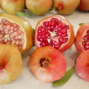 انار شیرین کرمان - مشارکتی