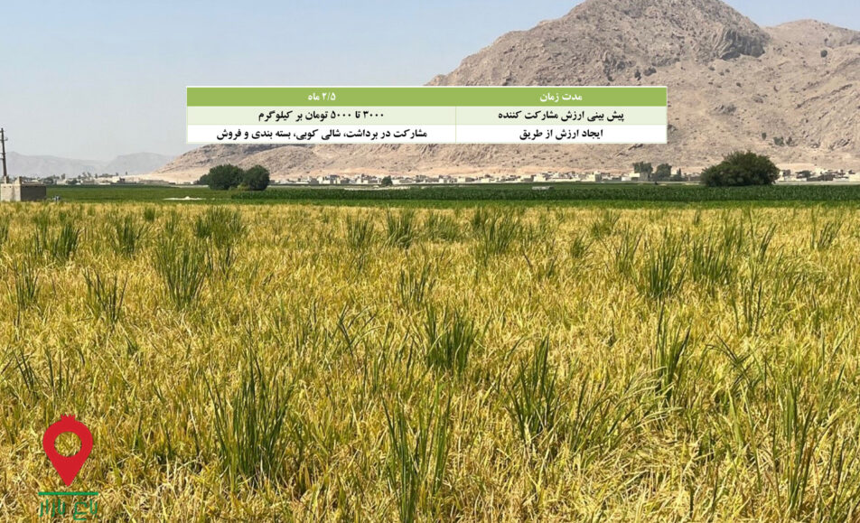 باغ بازار مشارکتی برنج گوهر فارس