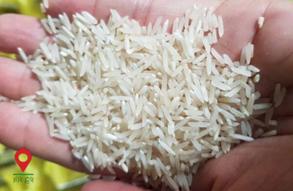 باغ بازار مشارکتی برنج شمیم فارس باغ بازار مشارکتی برنج شمیم فارس