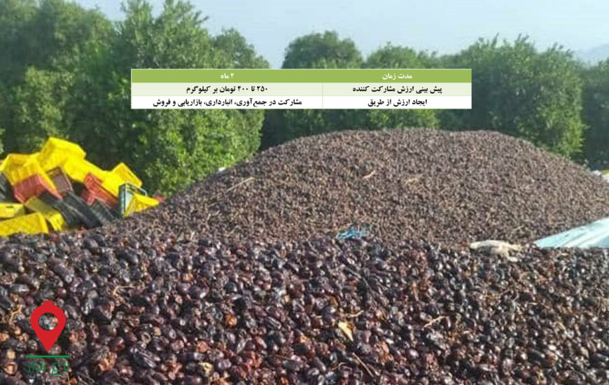 خرمای ضایعاتی مشارکتی