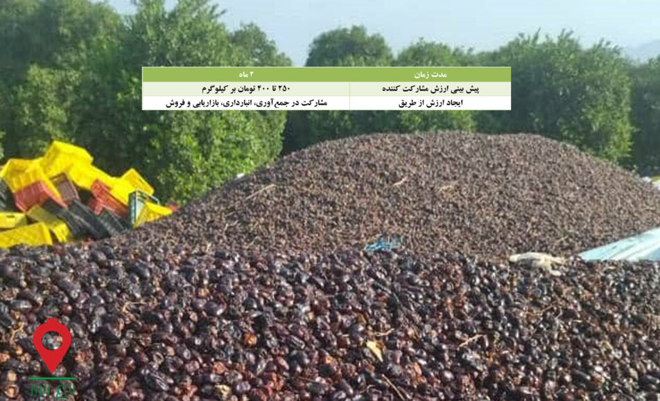 خرمای ضایعاتی مشارکتی