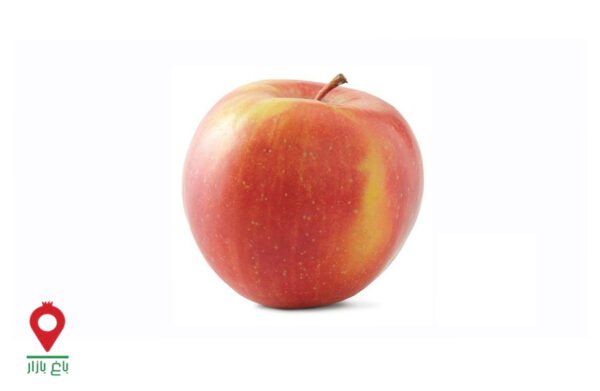 باغ بازار مشارکتی سیب فوجی دماوند