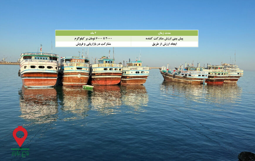 ماهی صنعتی چابهار-مشارکتی