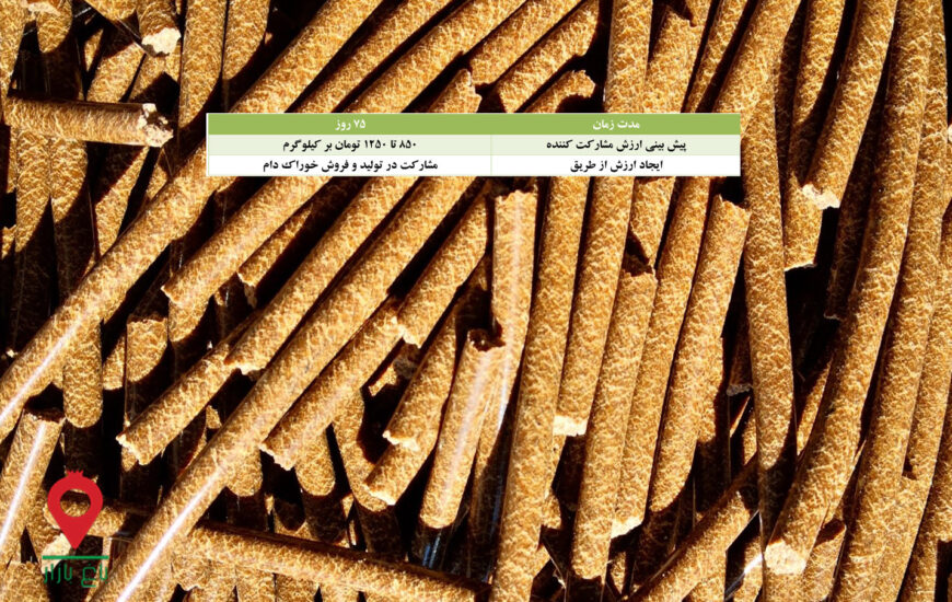 کنجاله کنجد- مشارکتی