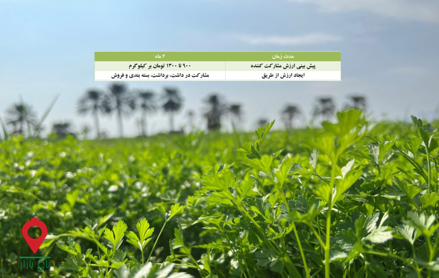 سبزی جیرفت - مشارکتی