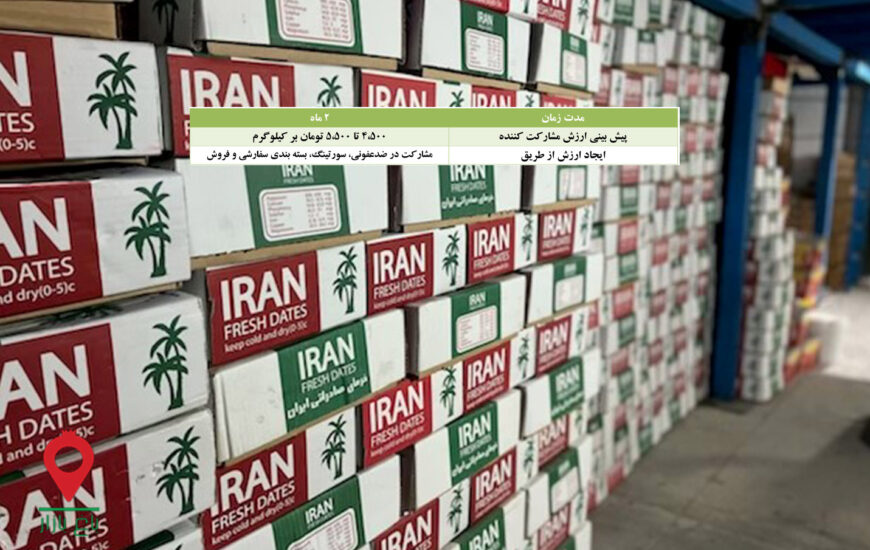 خرما مضافتی سبدی جیرفت- مشارکتی