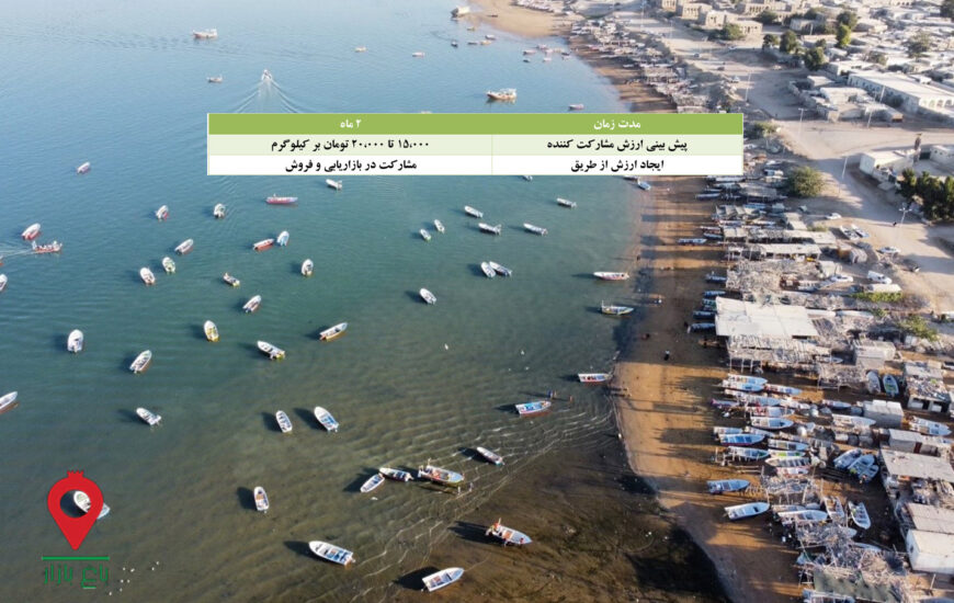 باغ بازار مشارکتی ماهی شیر