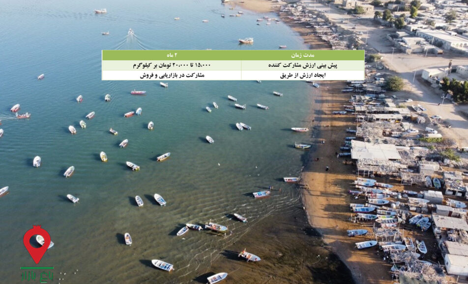 باغ بازار مشارکتی ماهی شیر