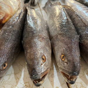 باغ بازار مشارکتی ماهی شوریده