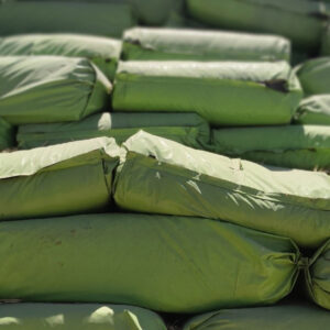 سیلاژ ذرت دامی- مشارکتی