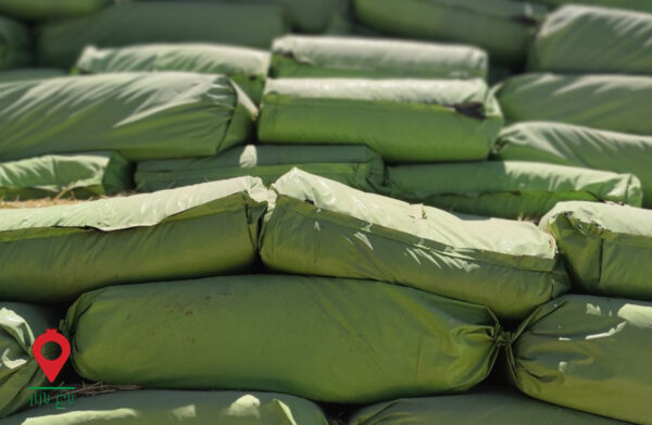 سیلاژ ذرت دامی- مشارکتی سیلاژ ذرت دامی- مشارکتی