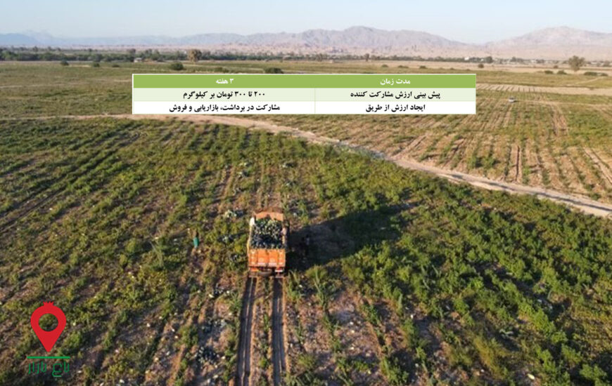 باغ بازار مشارکتی هندوانه هرمزگان