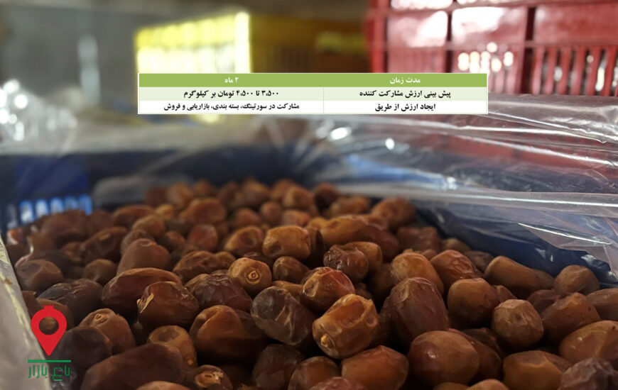 خرما مرداسنگ کارتنی جیرفت- مشارکتی