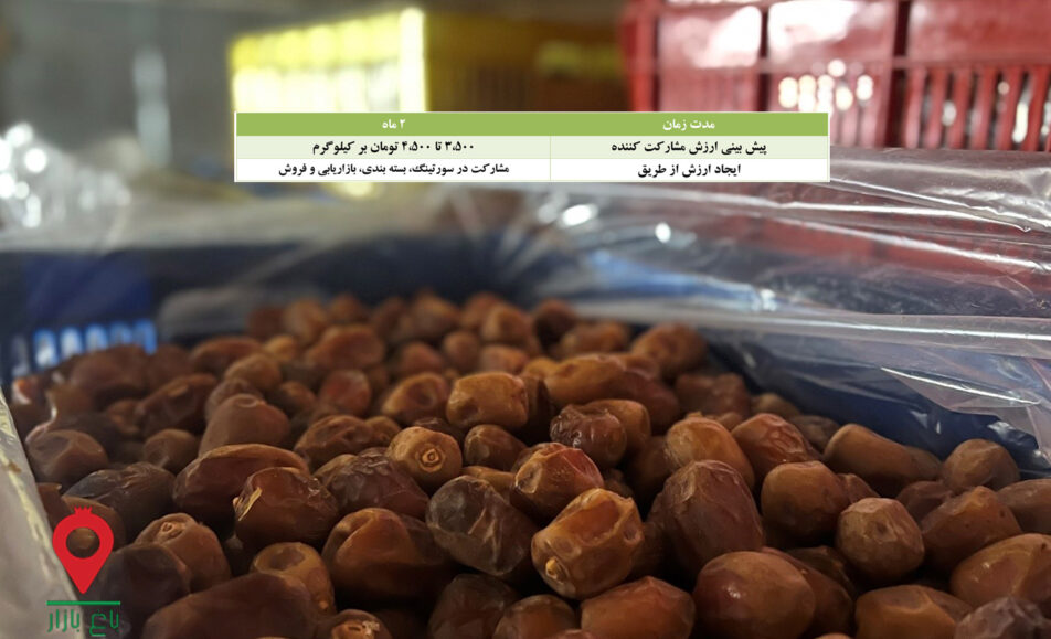 خرما مرداسنگ کارتنی جیرفت- مشارکتی