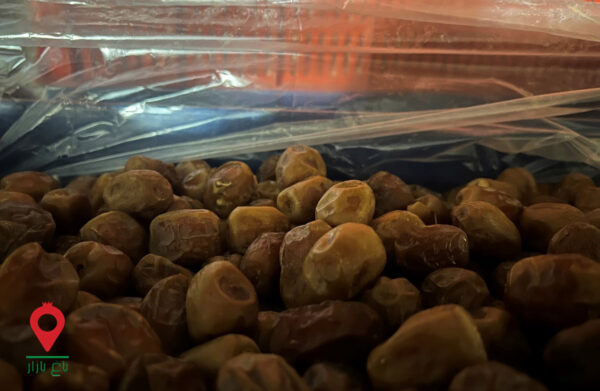 خرما مرداسنگ کارتنی جیرفت- مشارکتی خرما مرداسنگ کارتنی جیرفت- مشارکتی