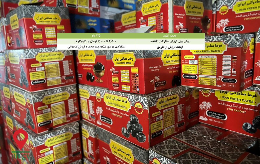 خرما کلوته کارتنی صادراتی جیرفت- مشارکتی