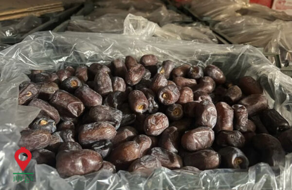 خرما کلوته کارتنی صادراتی جیرفت- مشارکتی خرما کلوته کارتنی صادراتی جیرفت- مشارکتی