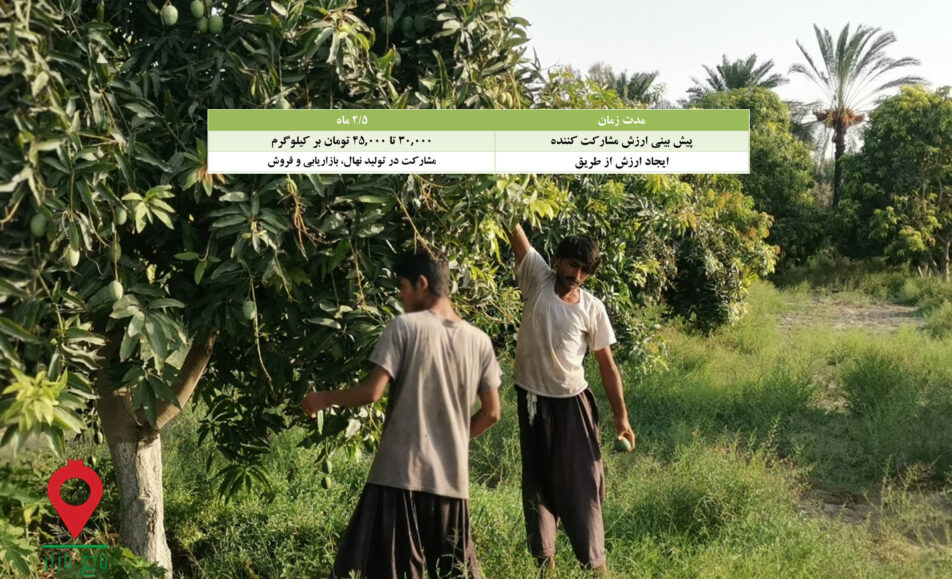 باغ بازار مشارکتی نهال انبه