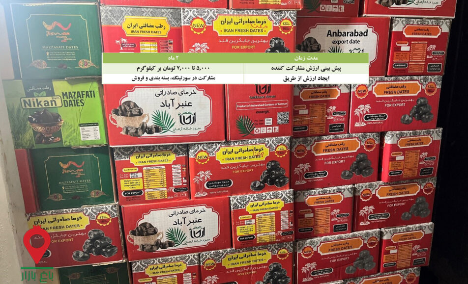 خرما مضافتی کارتنی جیرفت- مشارکتی