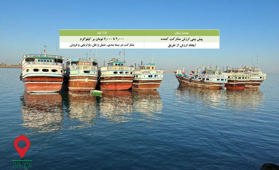 ماهی صنعتی چابهار- مشارکتی