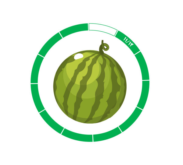 هندوانه 12 /11 هندوانه 12 /11