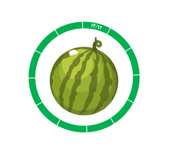 هندوانه 12 /12 هندوانه 12 /12