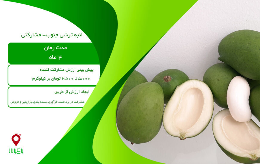 انبه ترشی جنوب- مشارکتی