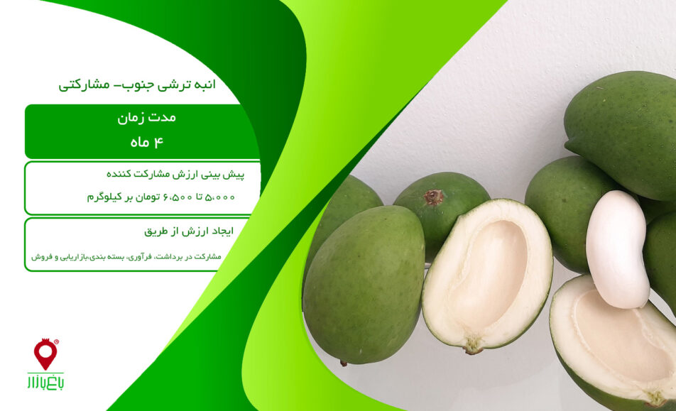 انبه ترشی جنوب- مشارکتی