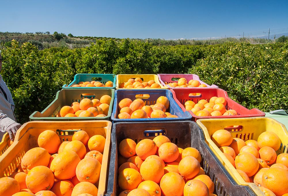 اتاق مزایده