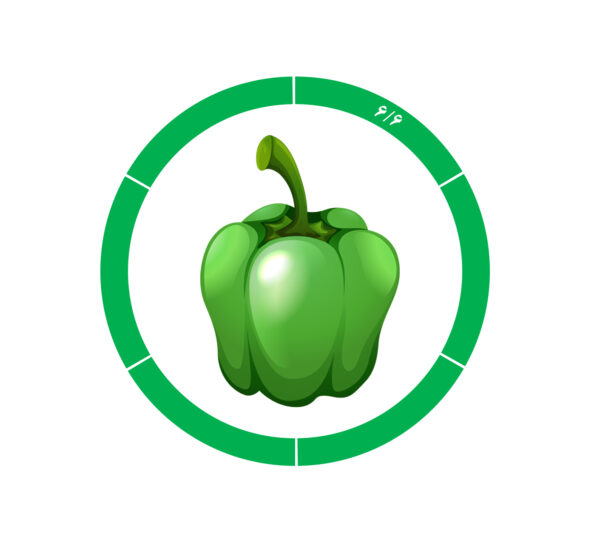 فلفل دلمه 6/6 فلفل دلمه 6/6