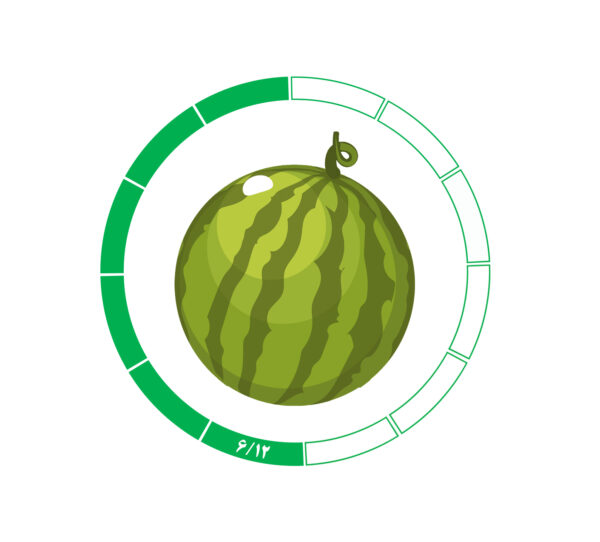 هندوانه 12 /6 هندوانه 12 /6