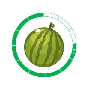هندوانه 12 /9