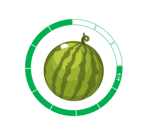 هندوانه 12 /9 هندوانه 12 /9
