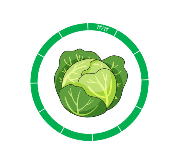 کلم 12/12 کلم 12/12