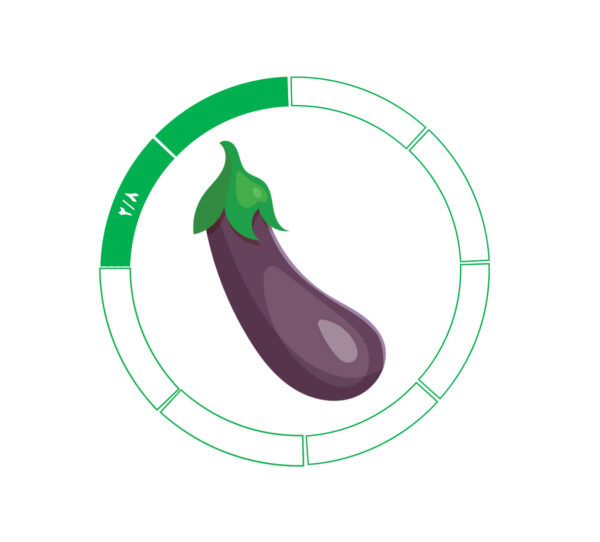 بادمجان 8 / 2 بادمجان 8 / 2