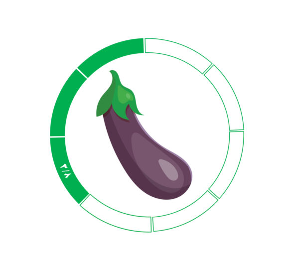بادمجان 8 / 3